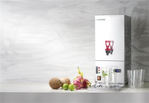 Warnik do wody | automatyczny | przepływowy | Evergreen | 10l | 3 kW