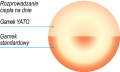 138472