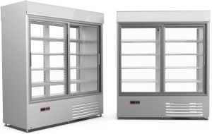 Szafa chłodnicza Westa SCh-1-2/P 1400 poj. 1400 l | 1640x810x1940mm